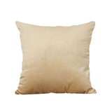 2 Pack | 18inch Champagne Soft Velvet Square Throw Pillow Cover