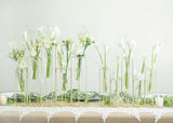 Set of 5 Geometric Gold Frame Test Tube Hydroponic Vases, Conjoined Wedding Centerpieces - 12inch