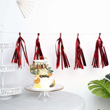 Pre-Tied Metallic Foil Fringe Tassel Garland, Tinsel Curtain for Photo Backdrop Party Decoration