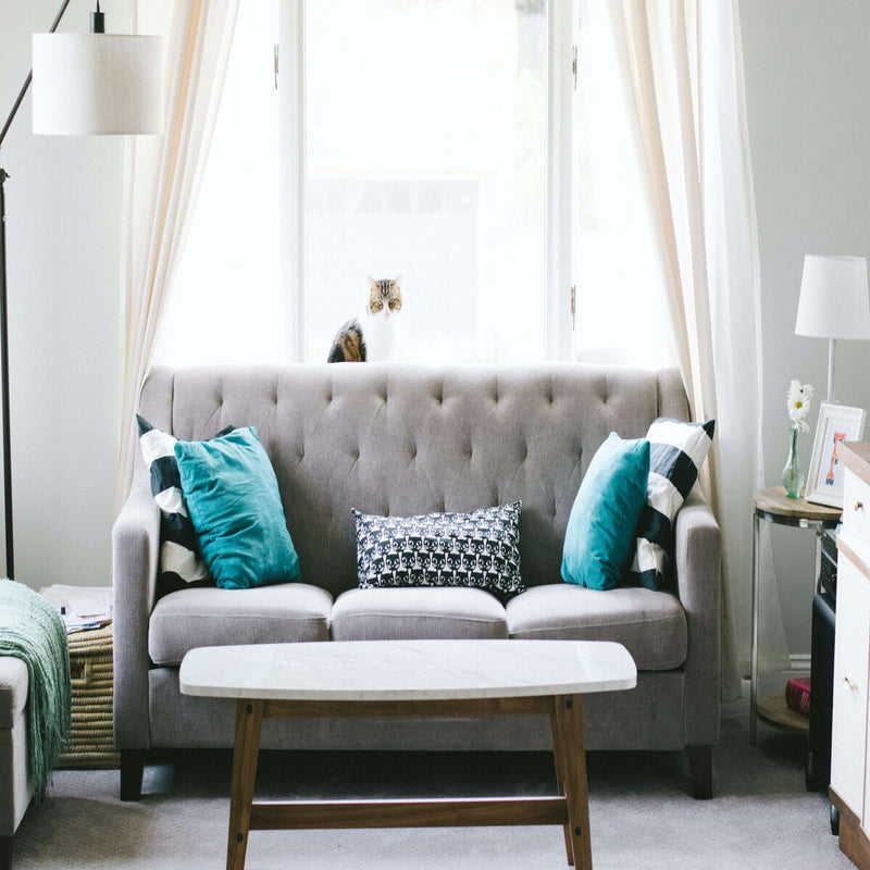 Bright living room with sofa, pillows, and sheer curtains