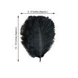 12 Pack | 13-15inch Black Natural Plume Real Ostrich Feathers, DIY Centerpiece Fillers