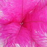 12 Pack | 13-15inch Fuchsia Natural Plume Real Ostrich Feathers, DIY Centerpiece Fillers