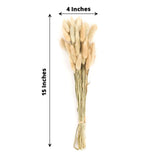 50 Pack | 15inch Natural Rabbit Tail Dried Pampas Grass Stem Bouquets