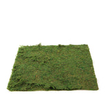 18x16inch | Preserved Natural Moss Wall Sheet Roll, Moss Landscape Panel