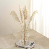 6 Stems | 32inch Wheat Tint Dried Natural Pampas Grass Plant Sprays