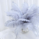 12 Pack | 13-15inch Dusty Blue Natural Plume Real Ostrich Feathers, DIY Centerpiece Fillers