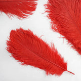 12 Pack | 13-15inch Red Natural Plume Real Ostrich Feathers, DIY Centerpiece Fillers