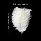 12 Pack | 13-15inch White Natural Plume Real Ostrich Feathers, DIY Centerpiece Fillers