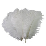 12 Pack | 13-15inch White Natural Plume Real Ostrich Feathers, DIY Centerpiece Fillers