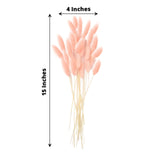 50 Pack | 15inch Blush Rose Gold Rabbit Tail Dried Pampas Grass Stem Bouquets