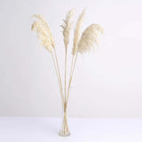 6 Stems | 32inch Wheat Tint Dried Natural Pampas Grass Plant Sprays