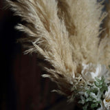 6 Stems | 49inch Wheat Tint Dried Natural Pampas Grass Plant Sprays