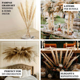 6 Stems | 49inch Wheat Tint Dried Natural Pampas Grass Plant Sprays