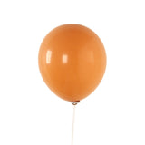 50 Pack Matte Pastel Caramel Biodegradable Balloons 12inch, Round Eco-friendly#whtbkgd