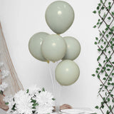 25 Pack | 10inch Matte Gray Double Stuffed Prepacked Latex Party Balloons