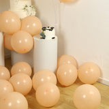 50 Pack Matte Pastel Peach Biodegradable Balloons 12inch, Round Eco-friendly