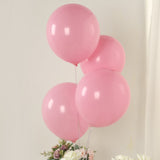 50 Pack Matte Pastel Pink Biodegradable Balloons 12inch, Round Eco-friendly