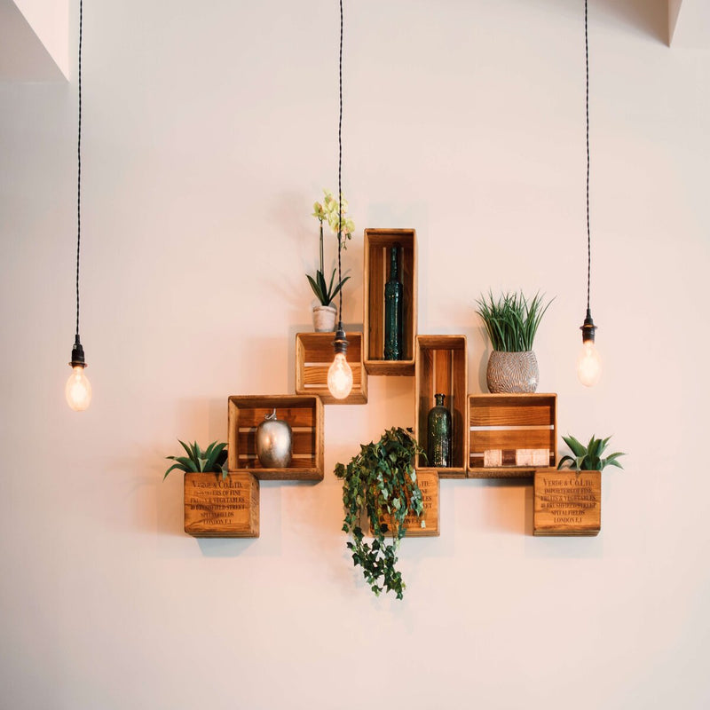 Wooden shelf display with plants and hanging bulbs