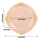 10 Pack | 10inch Round Plastic Dinner Plates in Vintage Transparent Blush