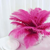 12 Pack | 13-15inch Fuchsia Natural Plume Real Ostrich Feathers, DIY Centerpiece Fillers