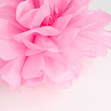 6 Pack 10inch Pink Tissue Paper Pom Poms Flower Balls, Ceiling Wall Hanging Decorations