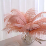 12 Pack | 13-15inch Mauve Natural Plume Real Ostrich Feathers, DIY Centerpiece Fillers