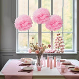 6 Pack 10inch Pink Tissue Paper Pom Poms Flower Balls, Ceiling Wall Hanging Decorations