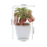 3 Pack | 5inches Ceramic Planter Pot & Artificial Elegans Succulent Plants