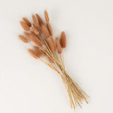 50 Pack | 15inch Brown Rabbit Tail Dried Pampas Grass Stem, Boho Flower Arrangement Sprays