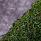 18x16inch | Preserved Natural Moss Wall Sheet Roll, Moss Landscape Panel