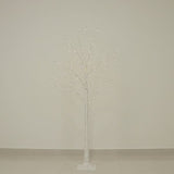 6ft Warm White Lighted Birch Tree 350 LED Fairy Lights with Remote Timer