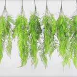 hanging green ferns and plants for decor