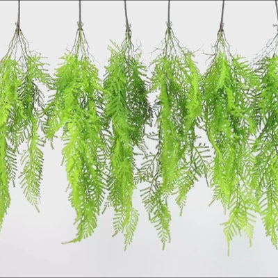 hanging green ferns and plants for decor