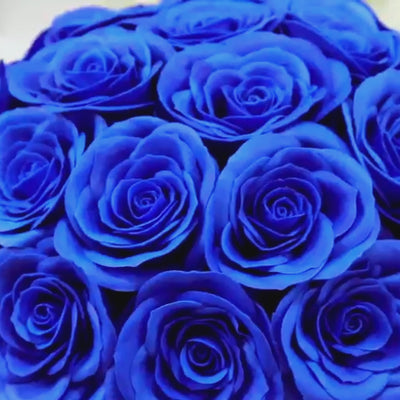Royal blue rose centerpiece arrangement in a black round gift box.