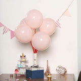 25 Pack | 12inch Matte Pastel Blush Helium or Air Latex Party Balloons