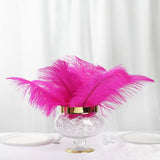 12 Pack | 13-15inch Fuchsia Natural Plume Real Ostrich Feathers, DIY Centerpiece Fillers