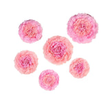 Pack of 6 | Blush/Pink | Multi-size Carnation 3D Giant Paper Flowers  #whtbkgd