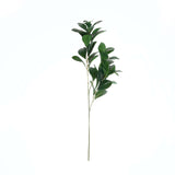 2 Stems | 26inch Green Artificial Lemon Leaf Branches Faux Greenery Plant