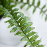 20inch Artificial Boston Fern Green Leaf Plant, Premium Real Touch Indoor Spray