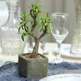 9inches Concrete Planter Pot & Artificial Willow Tree Succulent Plant