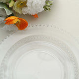 10 Pack | 10inch Clear Beaded Rim Disposable Dinner Plates