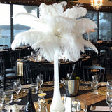 12 Pack | 13-15inch White Natural Plume Real Ostrich Feathers, DIY Centerpiece Fillers