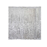 20ftx10ft Silver Big Payette Sequin Event Background Drapery Panel