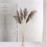 6 Stems | 32inch Natural Tint Dried Natural Pampas Grass Plant Sprays