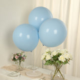 10 Pack Matte Pastel Ice Blue Biodegradable Balloons 18", Round Eco-friendly