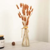 50 Pack | 15inch Brown Rabbit Tail Dried Pampas Grass Stem Bouquets, Boho Flower Arrangement Sprays
