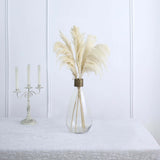 6 Stems | 32inch Natural Tint Dried Natural Pampas Grass Plant Sprays