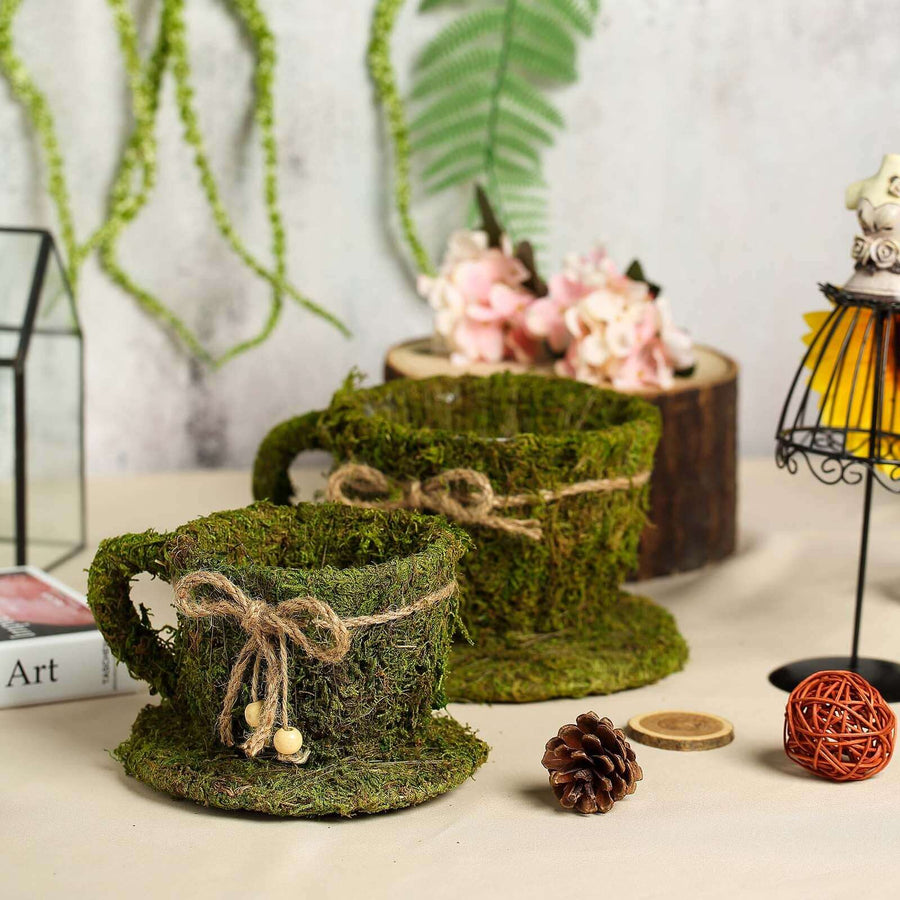 Set of 2 | Preserved Moss Teacup Planter Box with Natural Braided Twine Bow - 5" & 4.5"