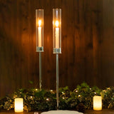 2 Pack | 24inch Silver Metal Clear Glass Hurricane Candle Stands With Glass Chimney Candle Shades
