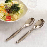 10 Pack Silver Large Serving Spoons, 10inch Heavy Duty Plastic Spoons